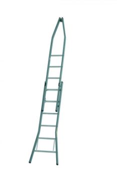 Afbeeldingen van Puntladder glazenwas 11 + 12 treden