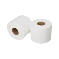Afbeeldingen van Toiletpapier cellulose 2-laags – 400 vellen