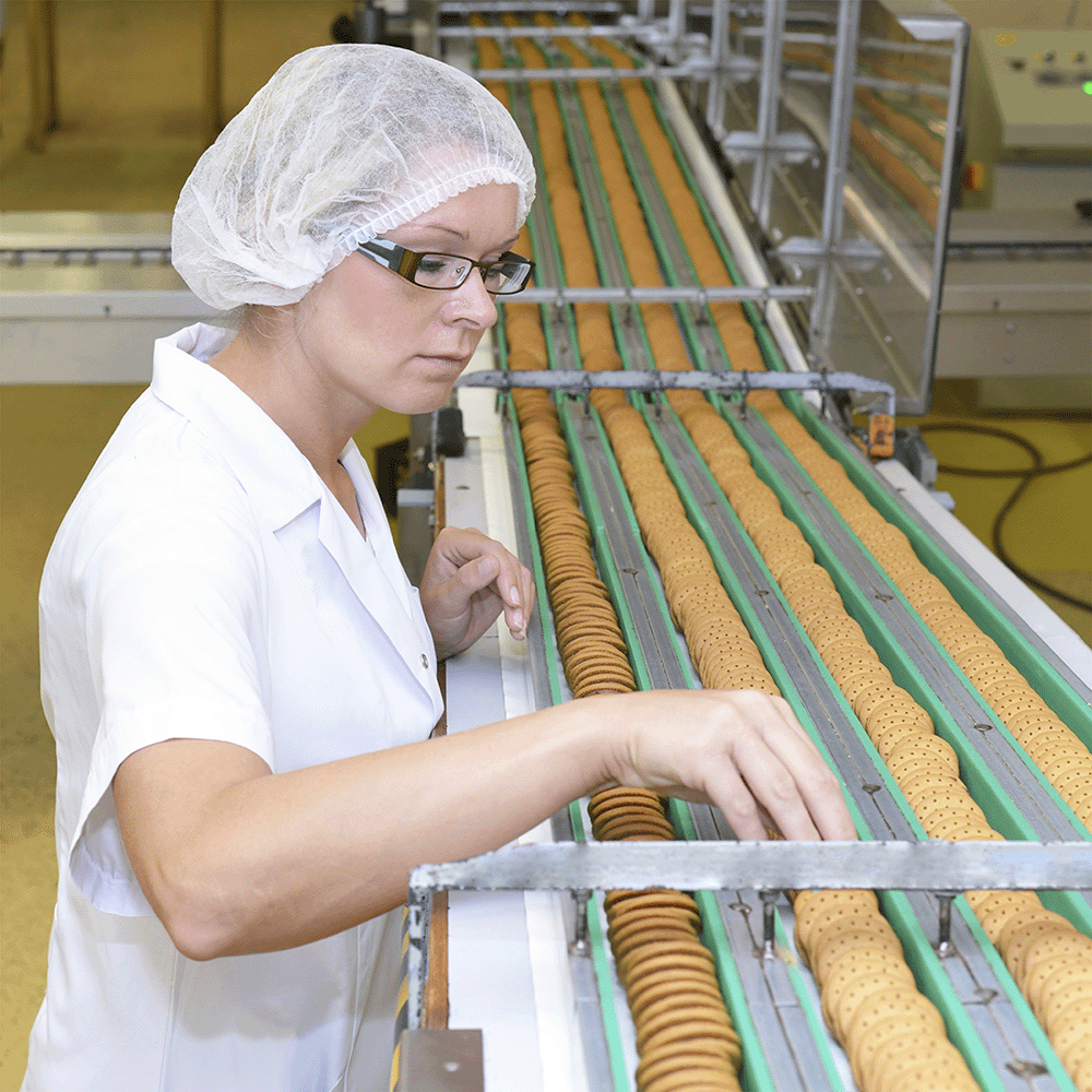 Professionele reiniging en desinfectie in een voedingsproductieomgeving